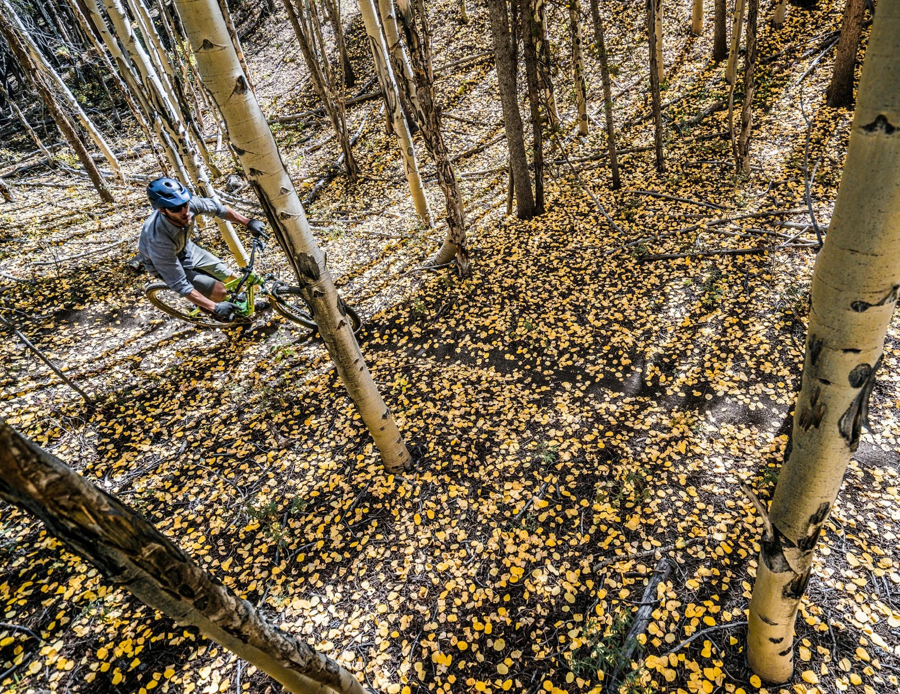 A mountain biker on an aspen-lined trail from the Wheelers archive.